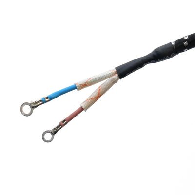Conector de extensão de cabo de alimentação de aterragem padrão para chaleira de ferro elétrico 2 pines trançado com corrente nominal 10A-16A